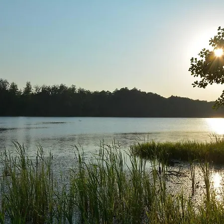 Slow Spot Przy Lesie I *