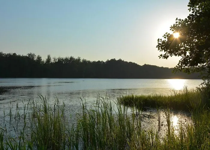 Slow Spot Przy Lesie I *